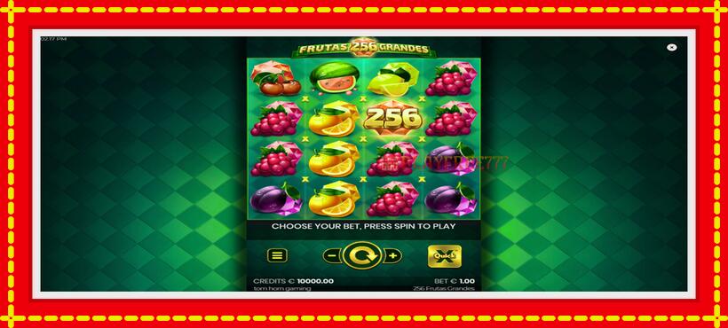 Slot machine 256 Frutas Grandes with access to free game online, picture 2