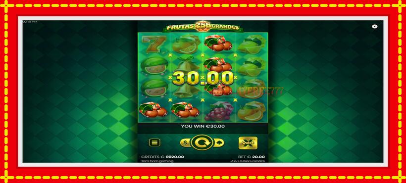 Slot machine 256 Frutas Grandes with access to free game online, picture 3