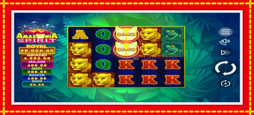 Slot machine Amazonia Spirit with access to free game online, picture 2