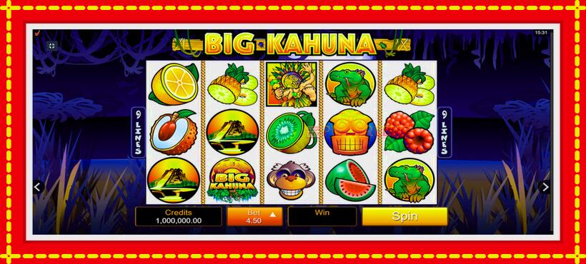 Slot machine Big Kahuna with access to free game online, picture 1