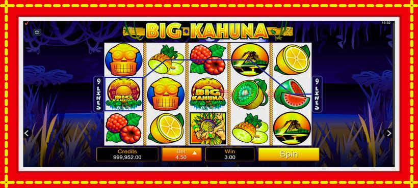 Slot machine Big Kahuna with access to free game online, picture 3