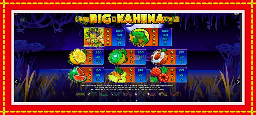 Slot machine Big Kahuna with access to free game online, picture 7