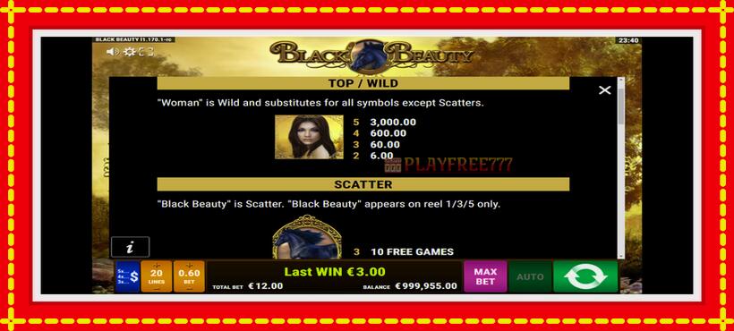 Slot machine Black Beauty with access to free game online, picture 5