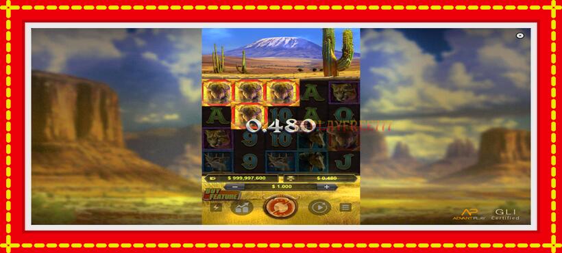 Slot machine Buffalo Rush with access to free game online, picture 4