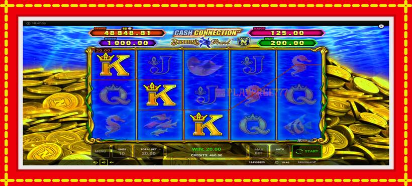 Slot machine Cash Connection Dolphins Pearl with access to free game online, picture 3