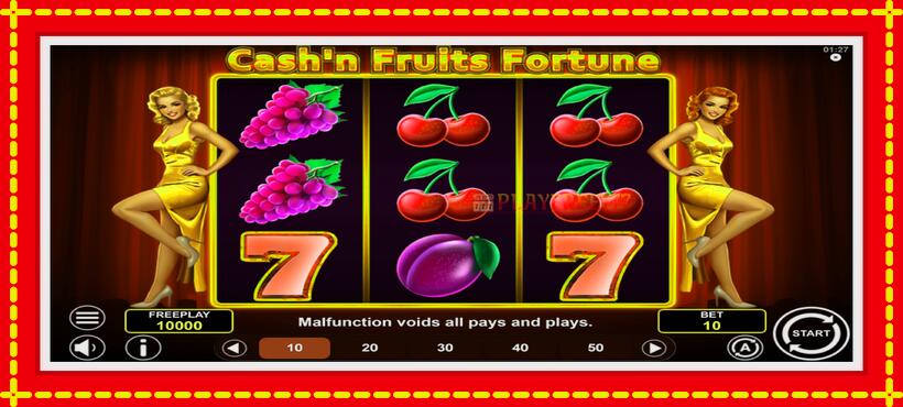 Slot machine Cashn Fruits Fortune with access to free game online, picture 2