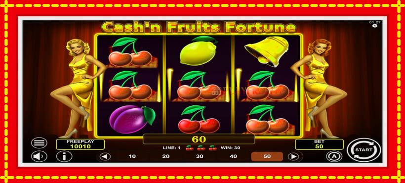 Slot machine Cashn Fruits Fortune with access to free game online, picture 3