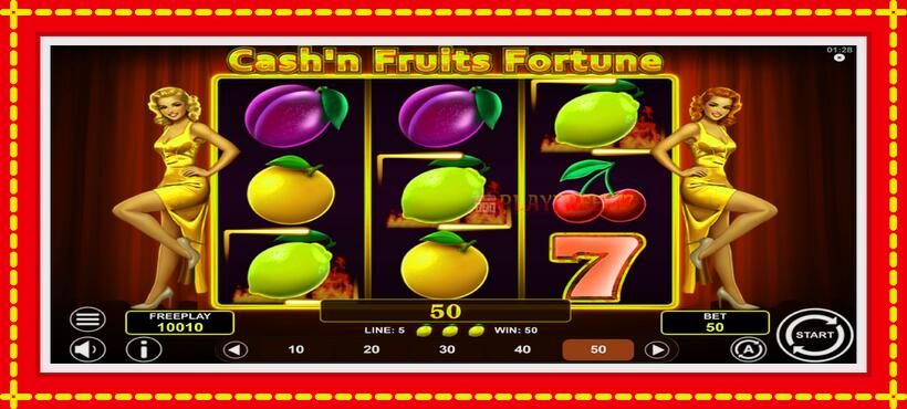 Slot machine Cashn Fruits Fortune with access to free game online, picture 4