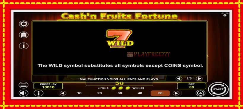 Slot machine Cashn Fruits Fortune with access to free game online, picture 6