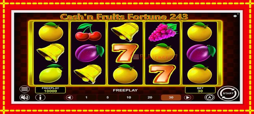 Slot machine Cashn Fruits Fortune 243 with access to free game online, picture 2