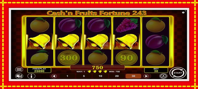 Slot machine Cashn Fruits Fortune 243 with access to free game online, picture 5