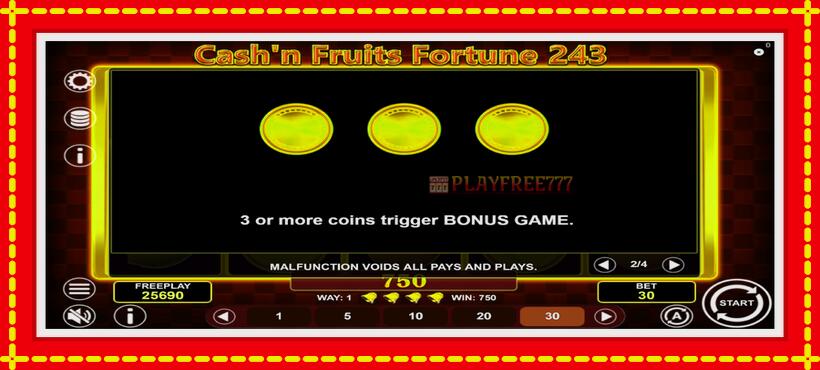 Slot machine Cashn Fruits Fortune 243 with access to free game online, picture 7