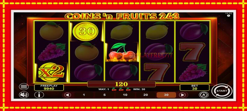 Slot machine Coinsn Fruits 243 with access to free game online, picture 4