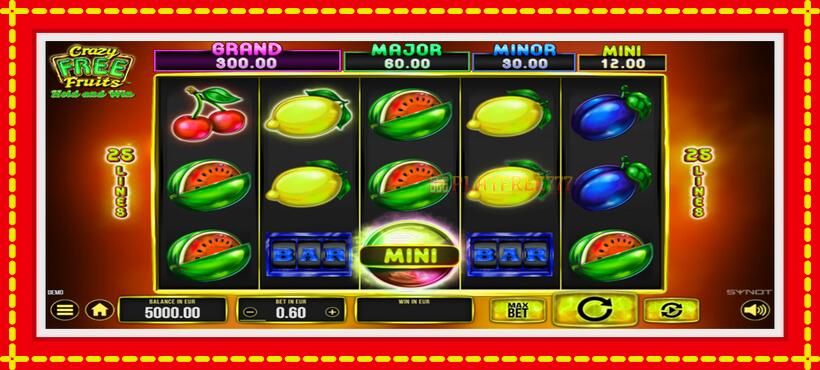 Slot machine Crazy Free Fruits with access to free game online, picture 1