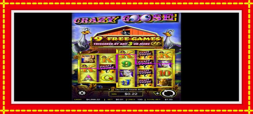 Slot machine Crazy Goose with access to free game online, picture 2