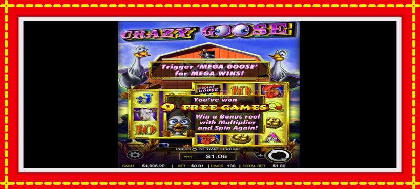 Slot machine Crazy Goose with access to free game online, picture 3