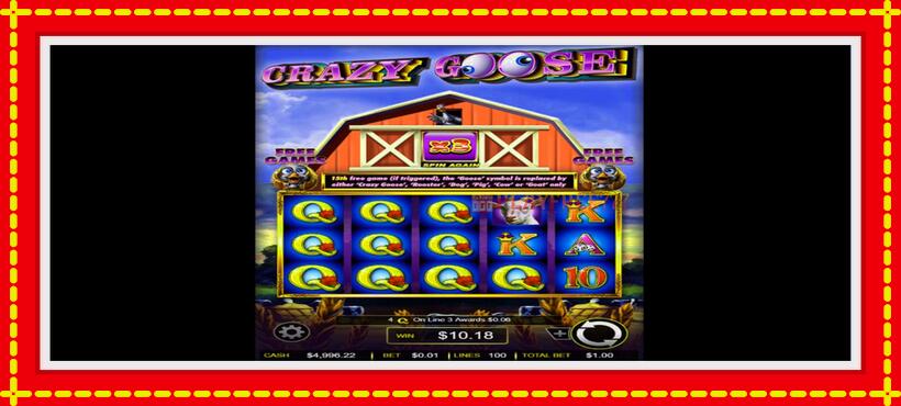 Slot machine Crazy Goose with access to free game online, picture 4