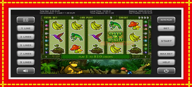 Slot machine Crazy Monkey 2 with access to free game online, picture 1