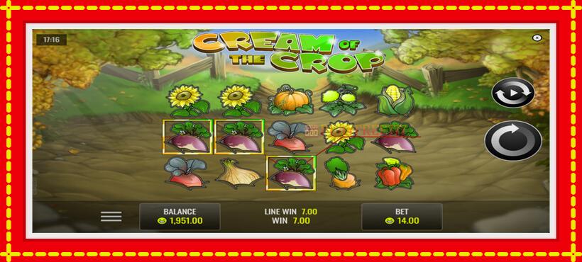 Slot machine Cream of the Crop with access to free game online, picture 3