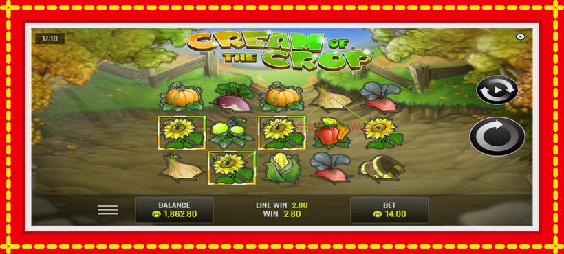 Slot machine Cream of the Crop with access to free game online, picture 4