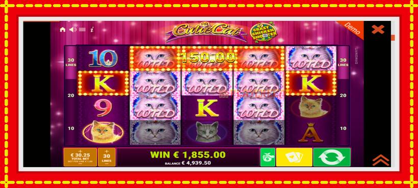 Slot machine Cutie Cat with access to free game online, picture 4