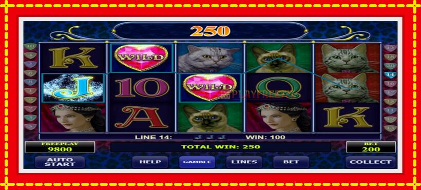 Slot machine Diamond Cats with access to free game online, picture 2