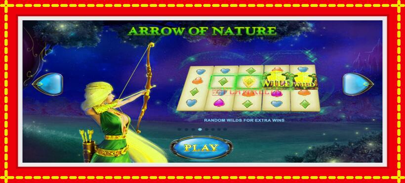 Slot machine Elven Magic with access to free game online, picture 5