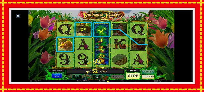 Slot machine Enchanted Meadow with access to free game online, picture 2