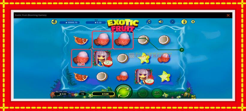 Slot machine Exotic Fruit with access to free game online, picture 3