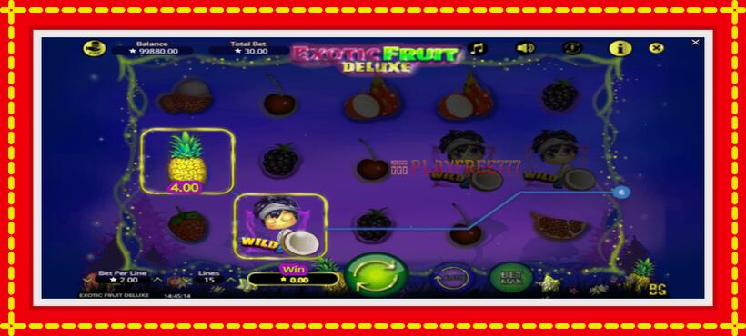 Slot machine Exotic Fruit Deluxe with access to free game online, picture 3