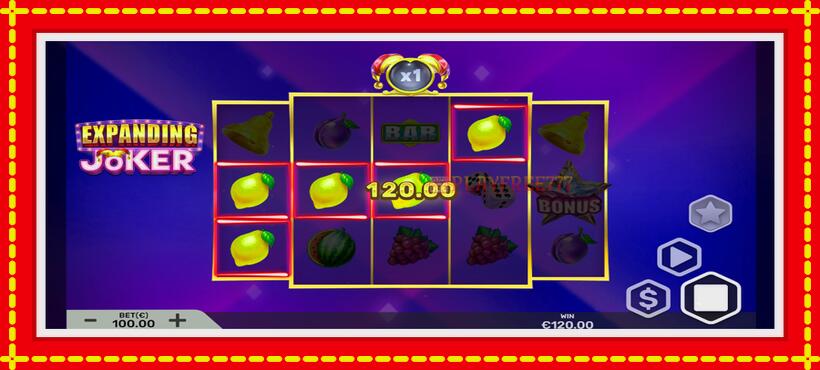 Slot machine Expanding Joker with access to free game online, picture 4