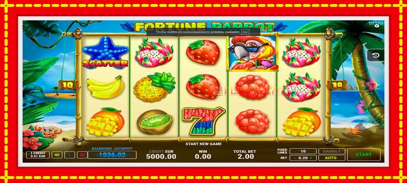 Slot machine Fortune Parrot with access to free game online, picture 1