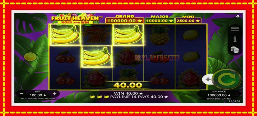 Slot machine Fruit Heaven Hold and Win with access to free game online, picture 4