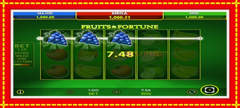 Slot machine Fruits & Fortune with access to free game online, picture 5