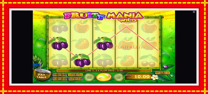 Slot machine Fruity Mania with access to free game online, picture 4