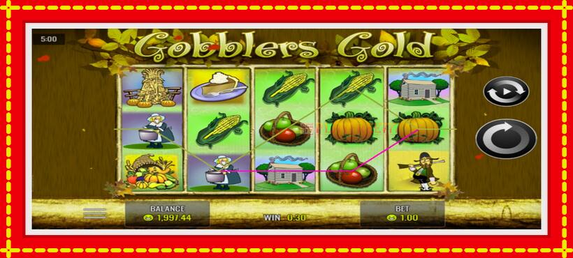 Slot machine Gobblers Gold with access to free game online, picture 2