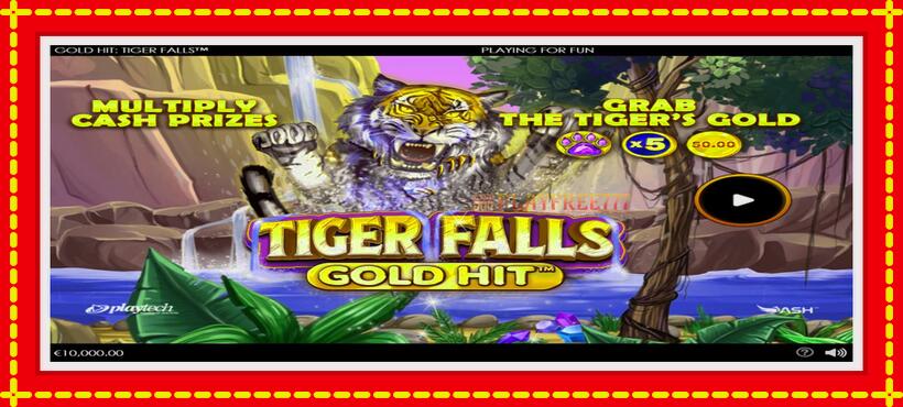 Slot machine Gold Hit: Tiger Falls with access to free game online, picture 1