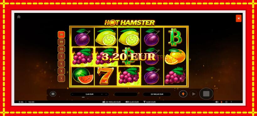 Slot machine Hot Hamster with access to free game online, picture 3