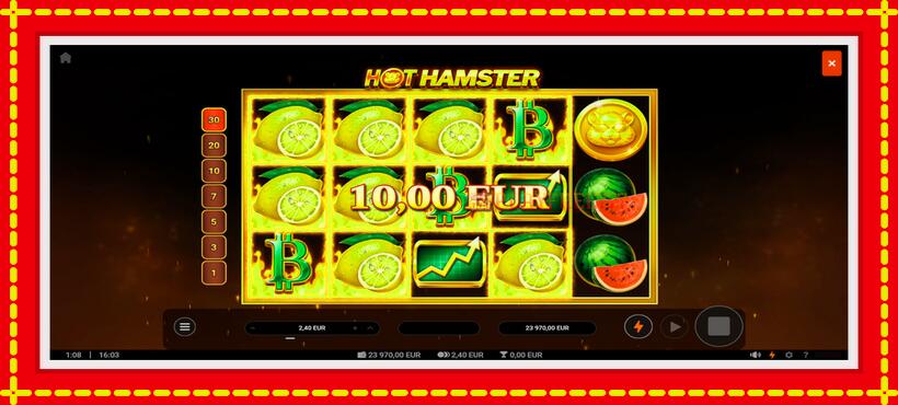 Slot machine Hot Hamster with access to free game online, picture 4