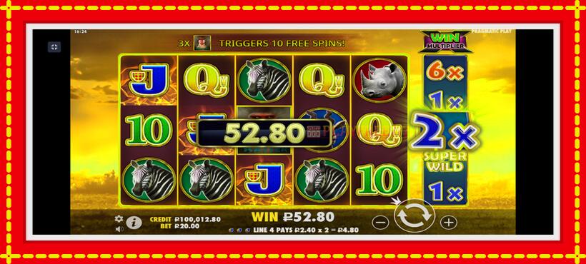 Slot machine Hot Safari with access to free game online, picture 4