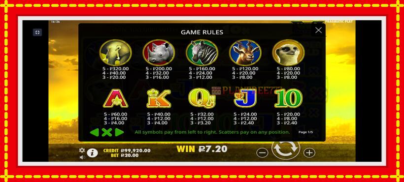 Slot machine Hot Safari with access to free game online, picture 6