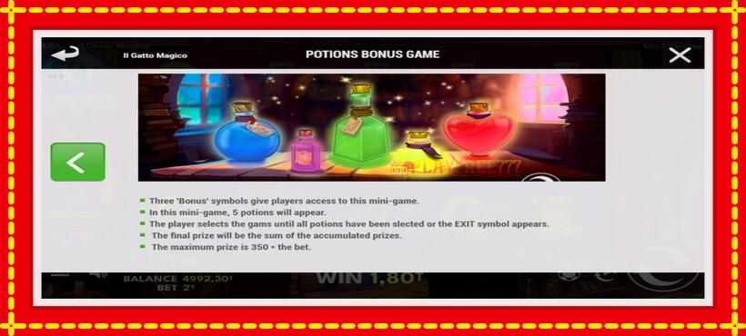 Slot machine Il Gatto Magico with access to free game online, picture 7