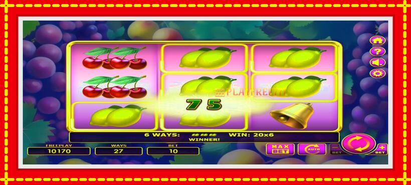 Slot machine Juicy Doubles with access to free game online, picture 2