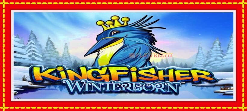 Slot machine Kingfisher Winterborn with access to free game online, picture 1