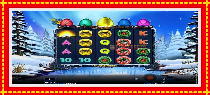 Slot machine Kingfisher Winterborn with access to free game online, picture 3