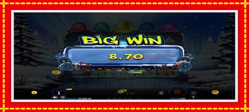 Slot machine Kingfisher Winterborn with access to free game online, picture 4