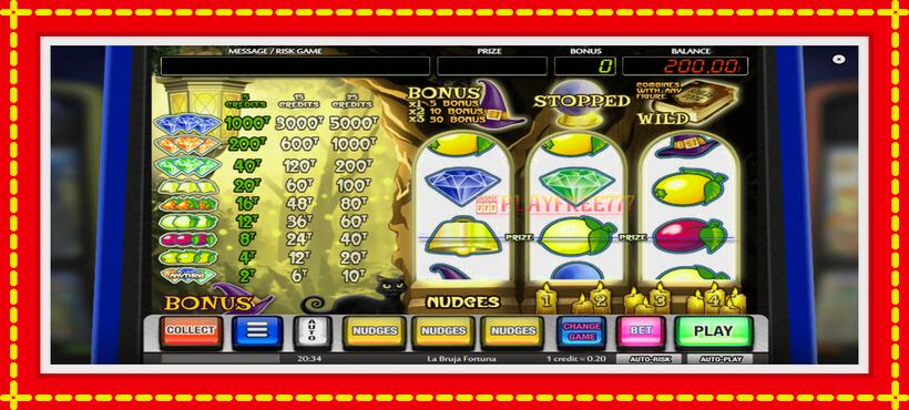 Slot machine La Bruja Fortuna with access to free game online, picture 1