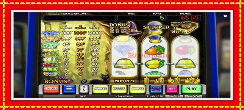 Slot machine La Bruja Fortuna with access to free game online, picture 3