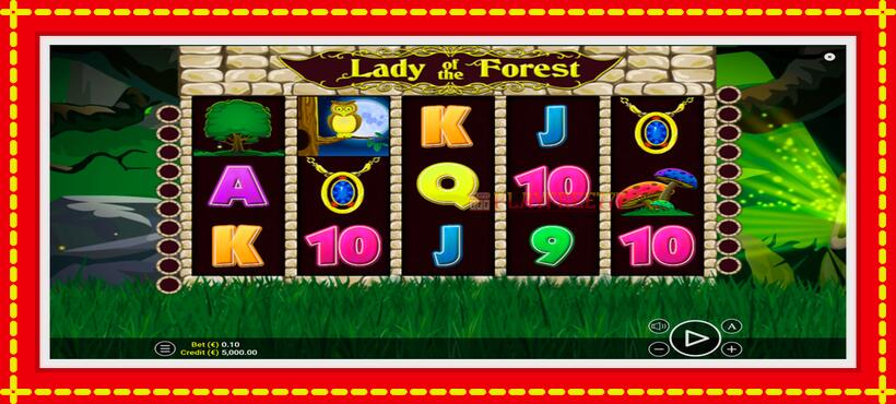 Slot machine Lady of the Forest with access to free game online, picture 1