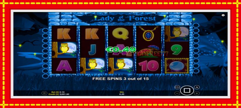 Slot machine Lady of the Forest with access to free game online, picture 3